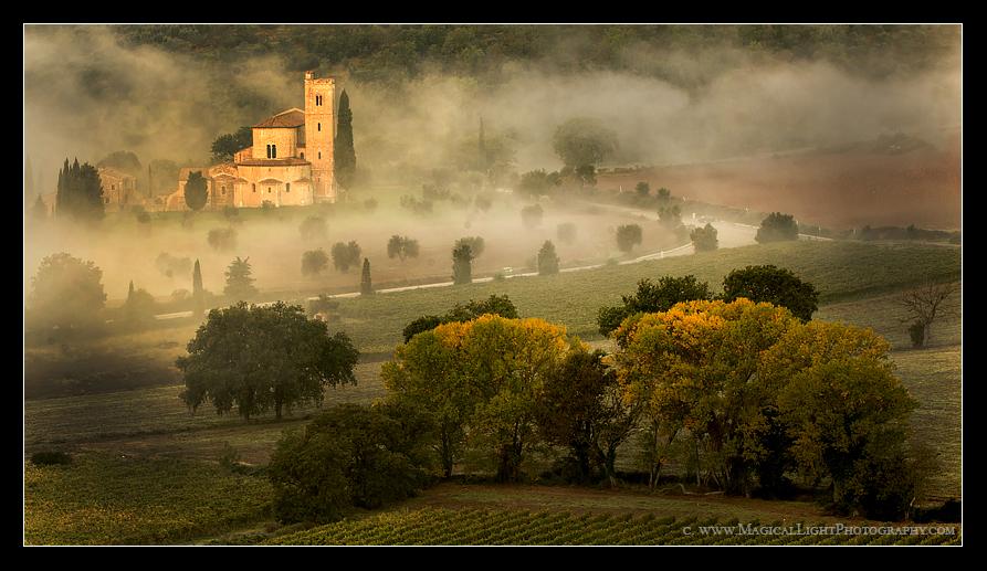 Near Montalcino. Built in 1188 a.d. The Cypress tree to the right of the bell tower dates from approx. 1200 a.d.Seven times each day the abbey monks pray in Gregorian Chant which is made all the more ethereal by the interior acoustics produced by the stone.