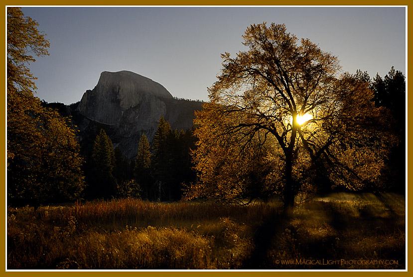 Cook's Meadow<br />Crisp morning air and golden harvest hues fill our senses in a favorite place.